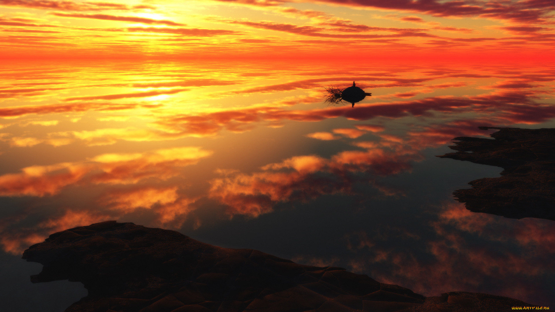3 ,  , nature, , , 
